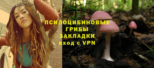 трава Абинск