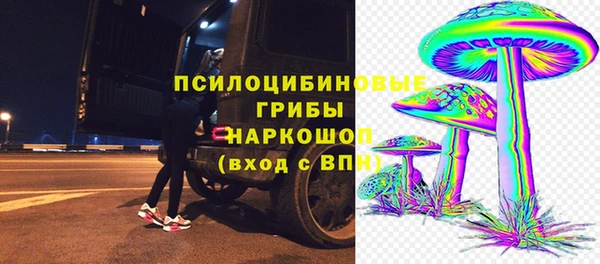 a pvp Сатка