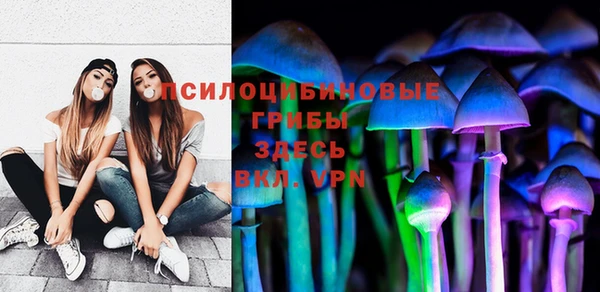 трава Абинск